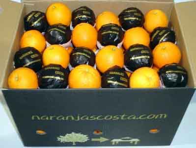 caja especial naranjas costa