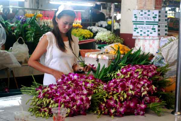 mercado krabi florista