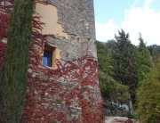 bodegas descalzos viejos Ronda