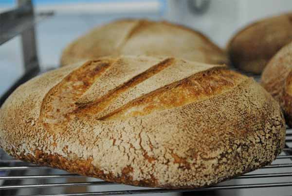 Cómo hacer pan en una panificadora - Aprende con Patricia